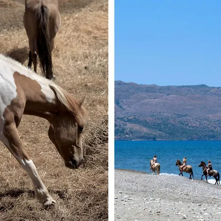 Athina Luxury Villa, With Pool & Walk To The Beach, By Thinkvilla Villa *